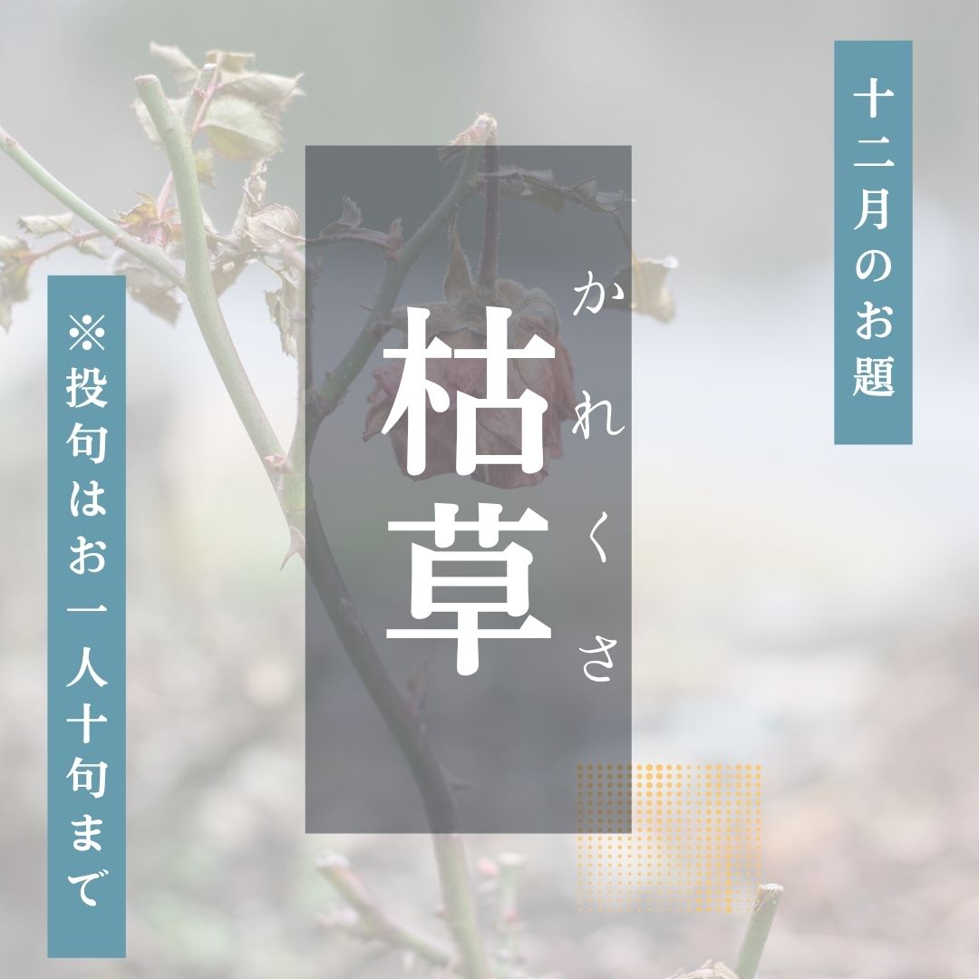 俳句ポスト2025年12月お題「枯草」