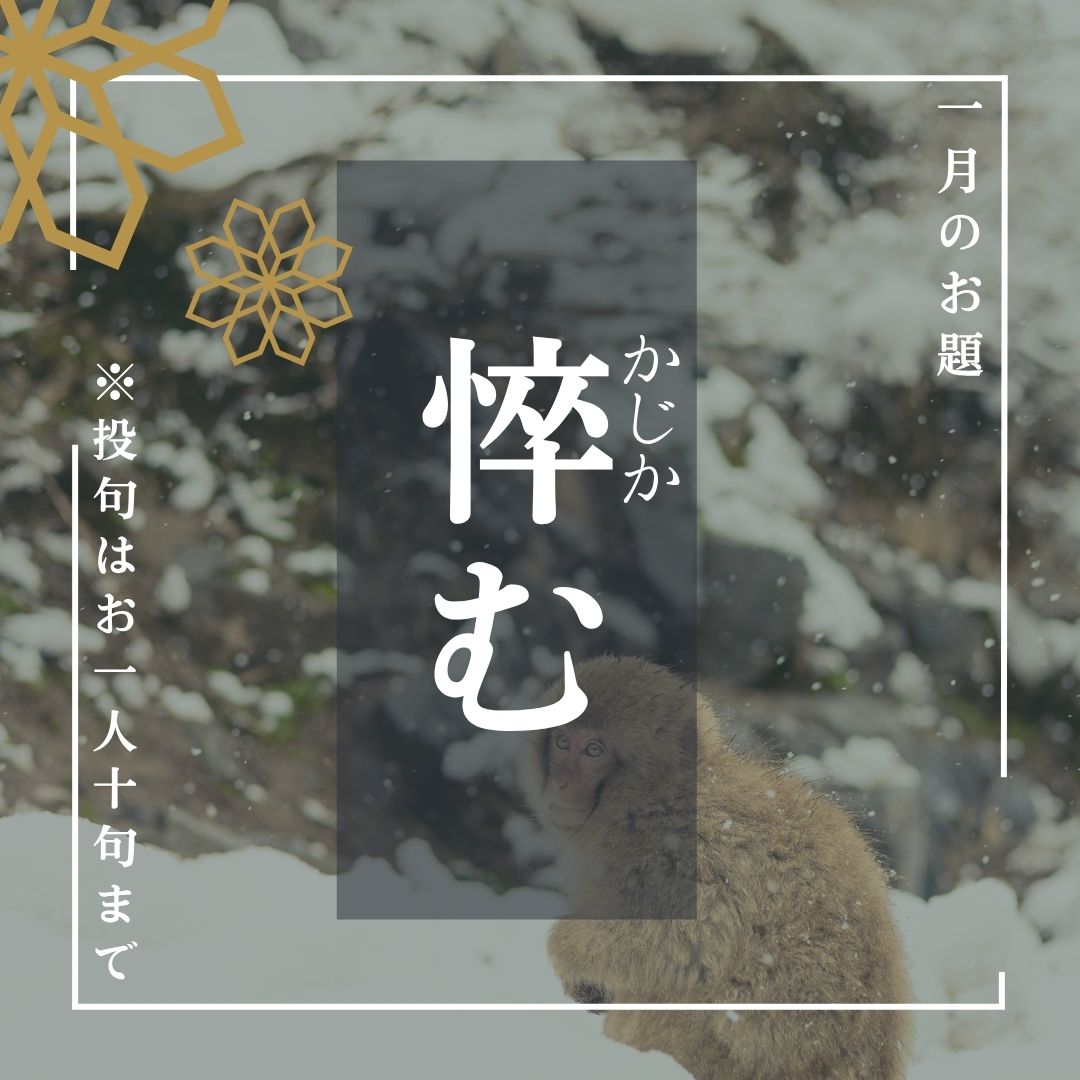 俳句ポスト2026年1月お題「悴む」